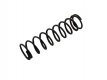 ND PL16 poz 39 ratchet spring